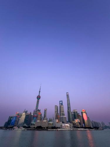 2025 Chinese GP Mitchell F1D Shanghai 2