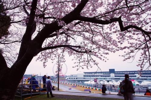 2025 Japanese GP Mitchell F1Destinations.com 5
